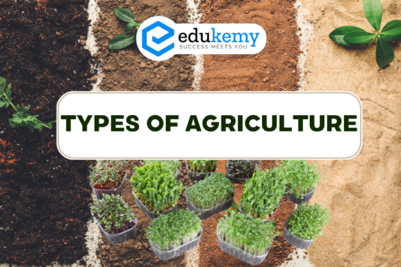 Major Crops In India And Cropping Patterns In India UPSC Indian