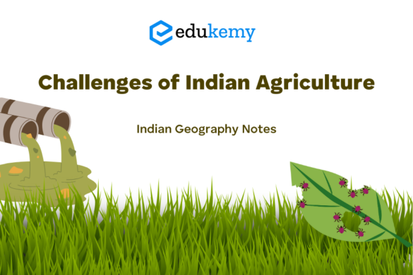 Structure and Composition of Soil - UPSC World Geography