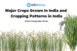 Soil Classification - UPSC World Geography Notes