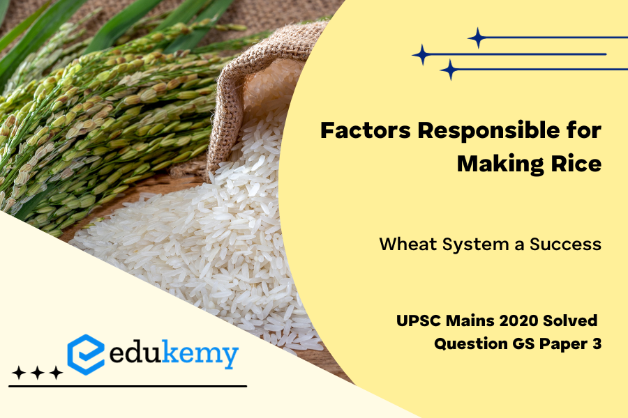 What are the major factors responsible for making the Rice-Wheat system a success? In spite of this success, how has this system become bane in India?