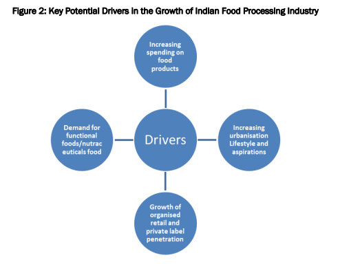  the food processing industry in India. 