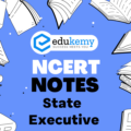 UPSC NCERT Notes – Indian Polity – State Executive
