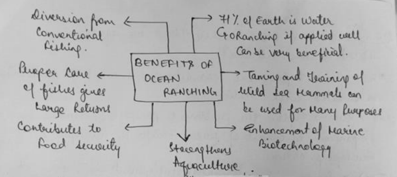 Benefits of Ocean Ranching