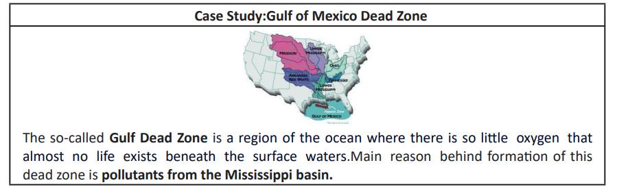Gulf dead zone