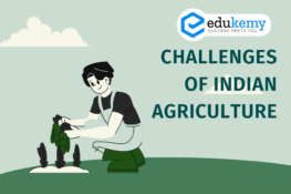 Soil Classification - UPSC World Geography Notes