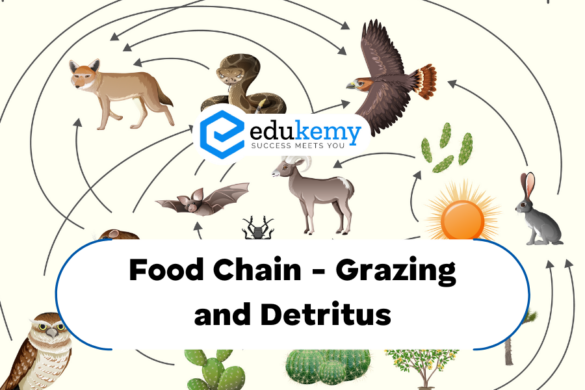 Wildlife Protection Act 1972 Biology Diagrams