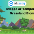 Steppe or Temperate Grassland Biome – UPSC Environment Notes
