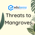 Threats to Mangroves – UPSC Environment Notes
