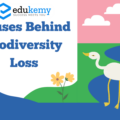 Causes Behind Biodiversity Loss – UPSC Environment Notes