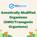 Genetically Modified Organism (GMO/Transgenic Organisms) – UPSC Environment Notes
