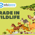 Trade in Wildlife – UPSC Environment Notes