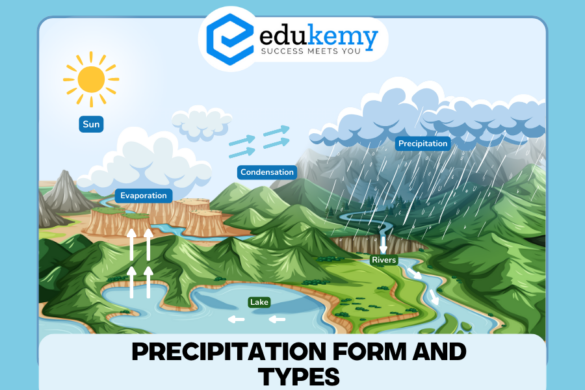 Soil Profile and Horizon - UPSC World Geography Notes