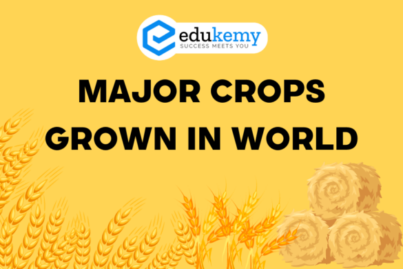 Soil Profile and Horizon - UPSC World Geography Notes