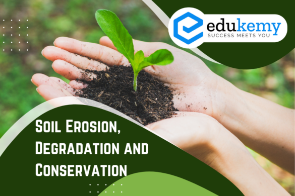 Soil Classification - UPSC World Geography Notes