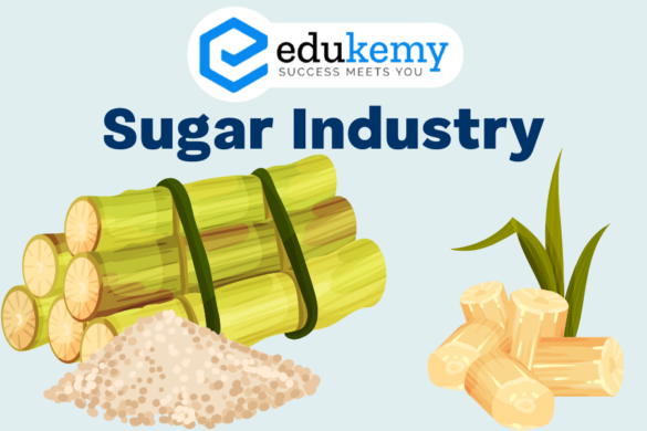 The concept of Plate tectonics has been derived from the isostasy and ...