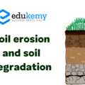Soil erosion and soil degradation are threat to food supply. Discuss – UPSC Geography Optional Mains – 2021