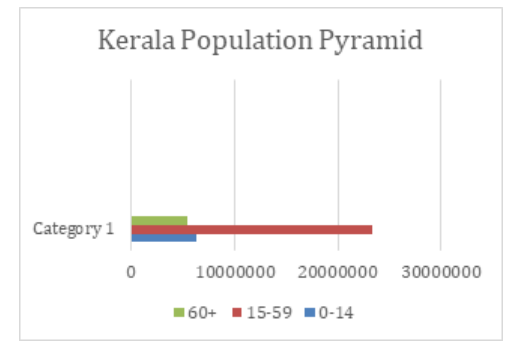 Kerala Population Pyramid