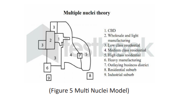 Multi Nuclei Model