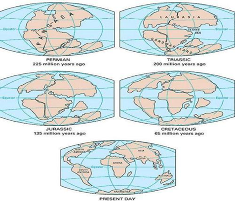 What do you understand about the theory of ‘continental drift’? Discuss ...