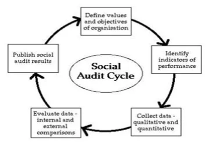 Social Audit Cycle