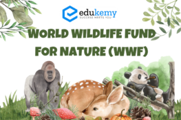 Cheetah vs Leopard vs Jaguar – UPSC Environment Notes - Blog