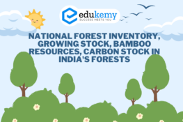 Cheetah vs Leopard vs Jaguar – UPSC Environment Notes - Blog