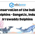 Conservation of the Indian Dolphins – Gangetic, Indus, Irrawaddy Dolphins – UPSC Environment Notes
