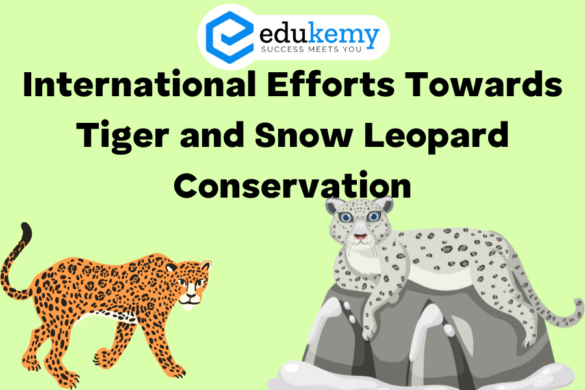 Snow Leopard Conservation Gets Boost from New Tech, Blog, Nature