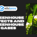 Greenhouse effect – Greenhouse Gases – UPSC Environment Notes