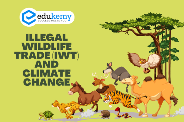 Forest Types of India - UPSC Environment Notes