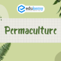 Permaculture – UPSC Environment Notes