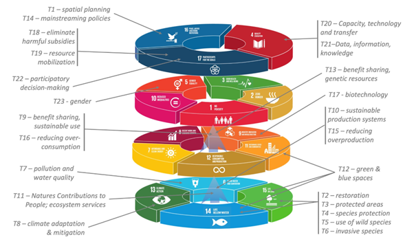 Kunming-Montreal Global Biodiversity Framework