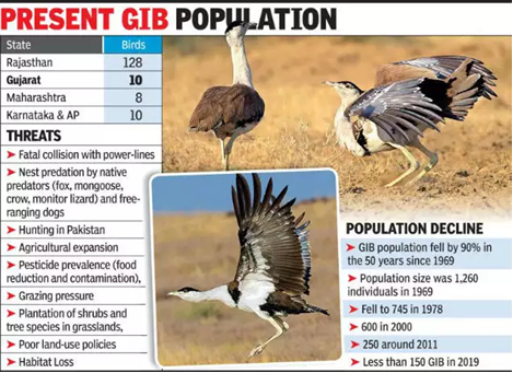 GIB Population