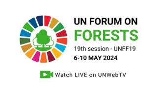 UN Forum on Forests 