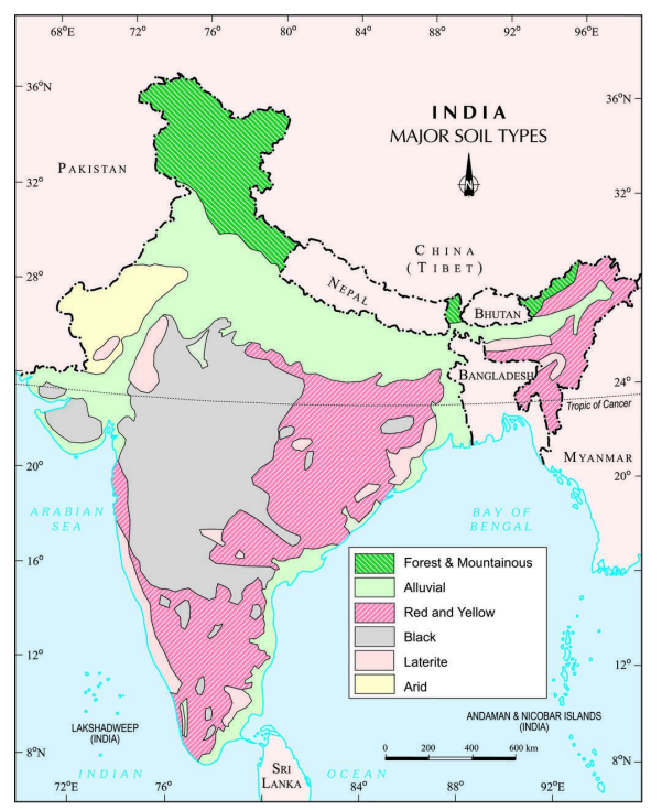 Soil Types in India