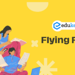 Flying Fox – Edukemy