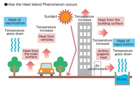 Highest Recorded Minimum Temperature