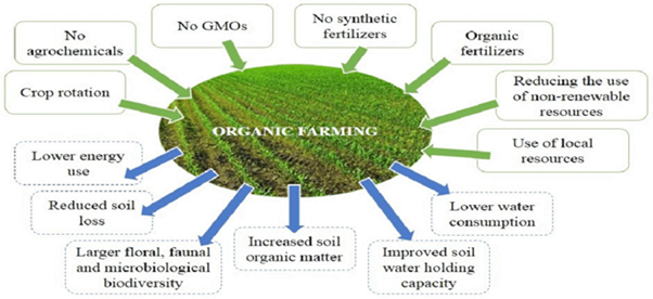 National Mission on Natural Farming