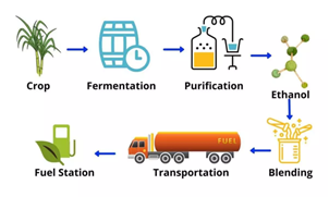 Biofuel