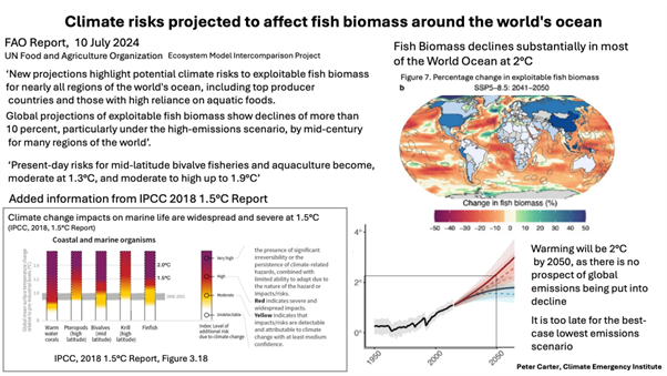 FishMIP Initiative