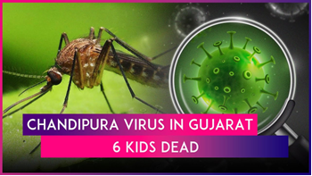 Chandipura Virus Infection