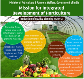 Horticulture Farming