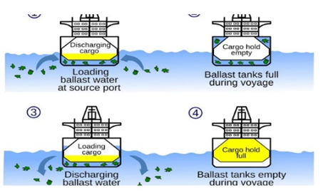 Ballast Water 