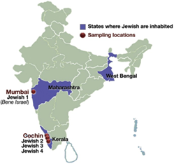 Jewish - A Dwindling Community in India 