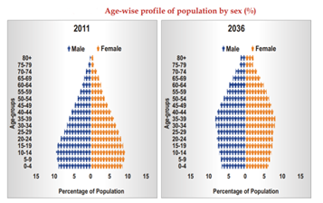 India’s Demographic Profile