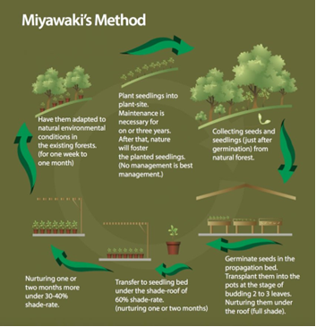 Miyawaki Method 