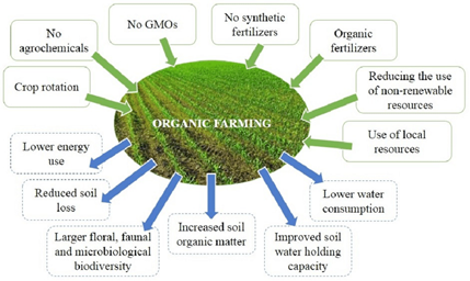 Organic Farming