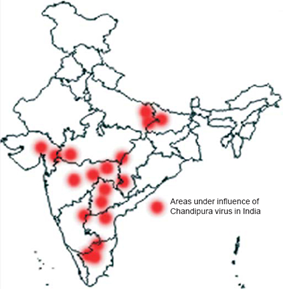 genome mapping