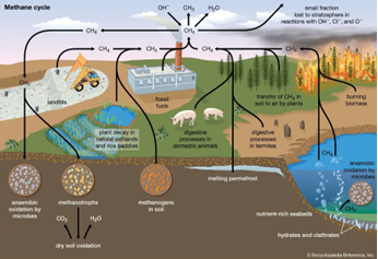 Food Recovery to Avoid Methane Emissions (FRAME) Methodology