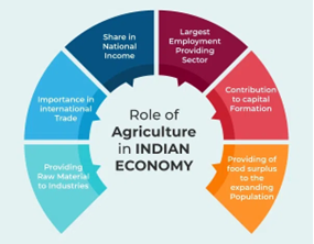 Agriculture into India's Growth